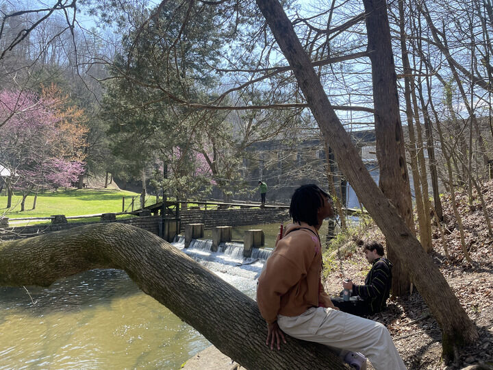 Mindfulness and Meditation Club